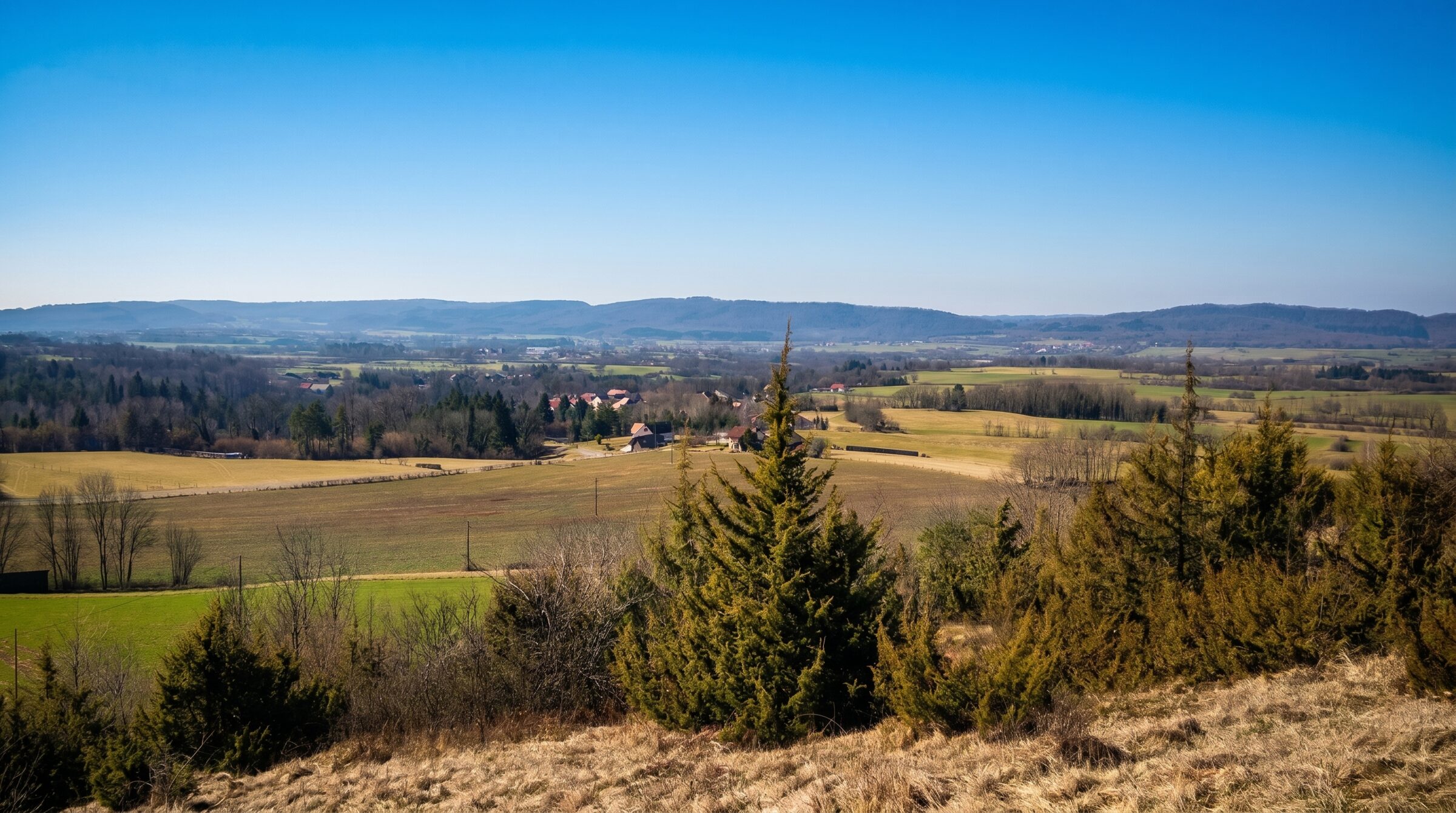 Vue panoramique de la commune de Vertamboz et de la combe environnante, lisière de sapinière au premier plan, plateau du Jura à l'horizon.